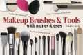 Makeup Brushes Guide for Beginners